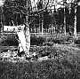 Omenapuu yl&auml;koulun puutarhassa 1960-luvulla